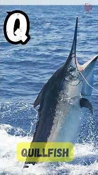 A to Z Deep-Sea Creatures Song 🌊 | ABC Ocean Animals for Kids | Learn the Alphabet with UZR Kids