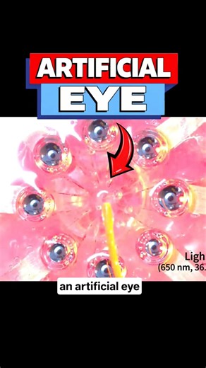 Researchers created Artificial Eye