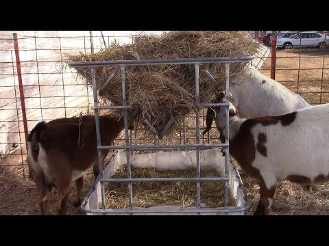 Easy DIY Hay Feeder For Goats or Calves