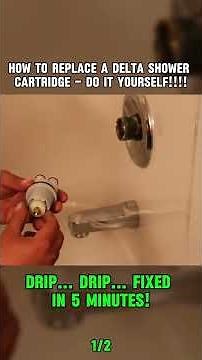 How To Replace A Delta Shower Cartridge - Do It Yourself!!!!