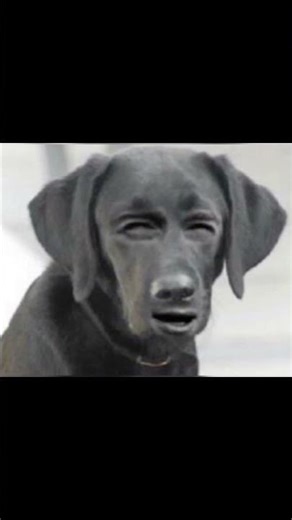 Funny Screentimes on Phones