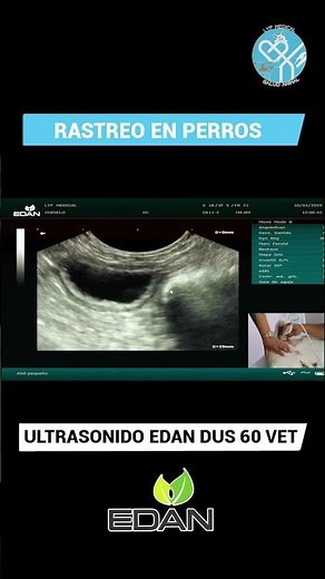 COMO HACER UN RASTREO EN PERROS CON ULTRASONIDO EDAN DUS 60 VET #shorts