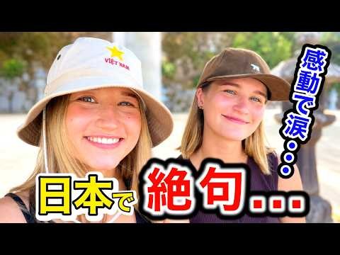 「正直日本はレベルが違う...あまりの衝撃で涙...」外国人観光客に日本の印象や驚いたことを聞いてみた！【海外の反応】【外国人インタビュー】🇯🇵🌎