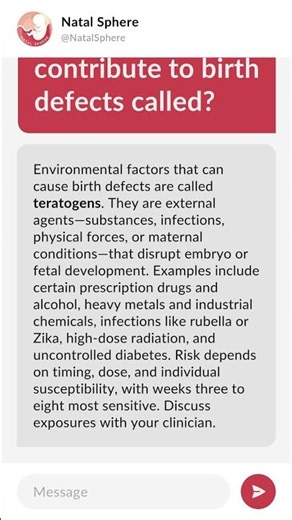 What are environmental factors that can contribute to birth defects called?