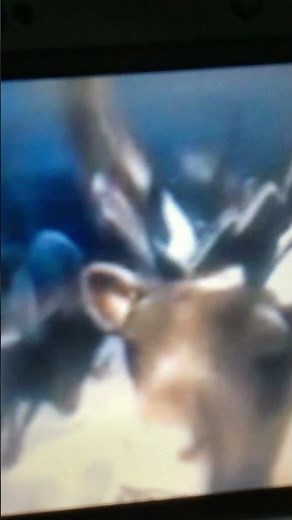 Polar Express - Caribou Scene (Low Pitched)