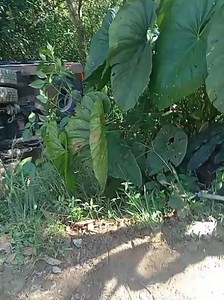 Granada Stéreo on Reels