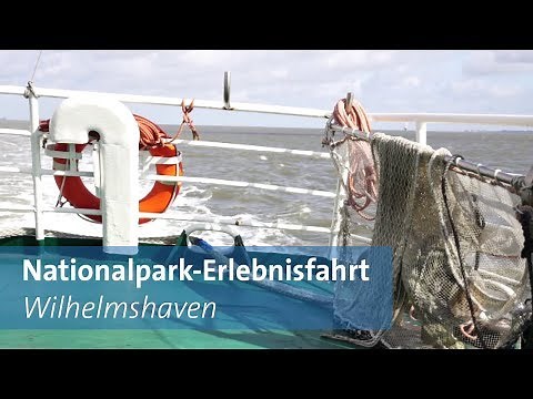 Seehundbänke in der Nordsee mit dem Schiff erkunden