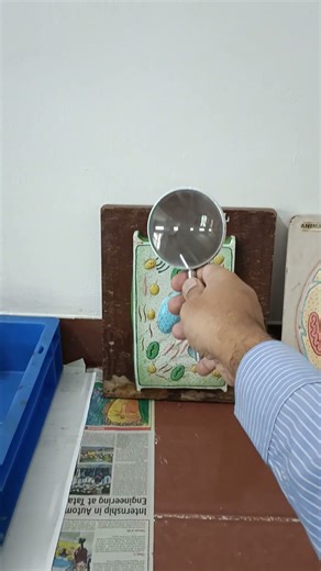 no copyright video | magnifying action of convex lens | Physics