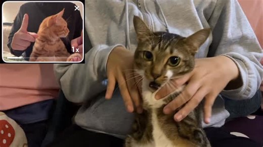 Tutu on Instagram: "mission fail"