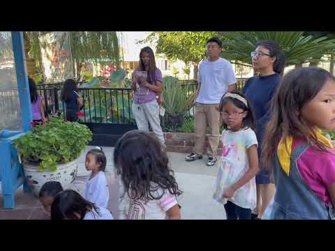 29 តុលា 2025