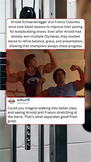 Arnold Schwarzenegger and Franco Columbu once took ballet lessons to improve their posing for body