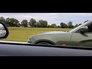 Hellcat Charger vs Shelby Gt350