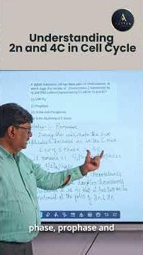 NEET Concept: 2N vs 4C