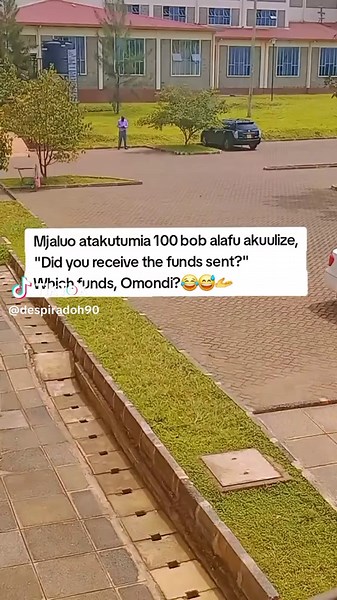 Funny Luo University TikTok Moment