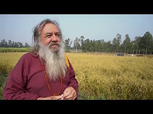 Hemp - The plant of the ecstatic god Shiva