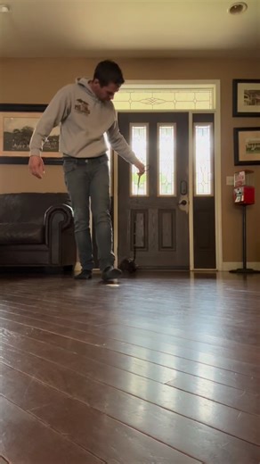 My story all of 2026! Solstice is doubling in size it seems like every day! It will only be a few more months and she will be moving outside to a massive enclosure, once the weather warms up of course! #animals #porcupine #farm #hotgirlstuff #tour #sc #farmstay | Goat Daddy's Farm