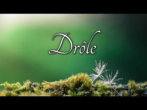 How to pronounce drôle in French