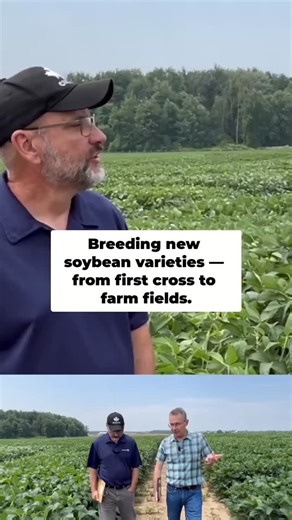 RealAgriculture on Instagram: "From lab to field: It's a decade-long journey to get new seed varieties to farmers. Seed development is a long game! #farming #agriculture #science #crops"