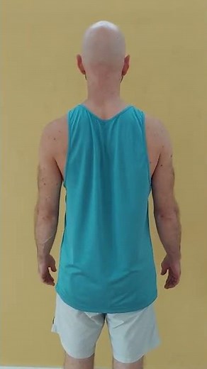 Standing scapular retraction with depression