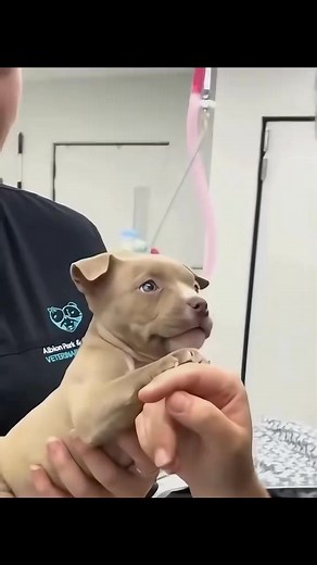 585K views · 10K reactions | Benny Grant on Reels | Facebook