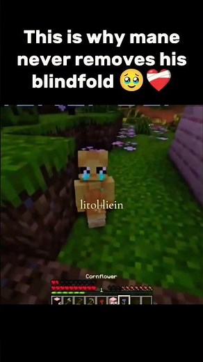 ManePear litol Lieon incident ✌️❤️‍🩹 Minecraft Unstable Smp #shorts #memes