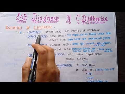 Corynebacterium diphtheriae: Morphology, Pathogenesis, Toxins ,Clinical features, lab Diagnosis, T/t