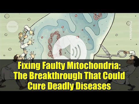 Fixing Faulty Mitochondria: The Breakthrough That Could Cure Deadly Diseases