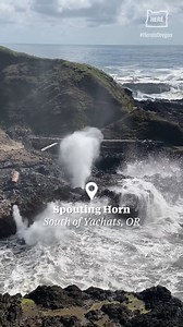 Spouting Horn is a roadside natural attraction just south of Yachats. Incoming waves create pressure inside a cave that results in a geyser-like water explosion. 📹 by Vickie Connor | The Oregonian