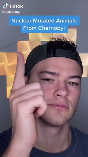 Exploring Nuclear Mutated Animals From Chernobyl