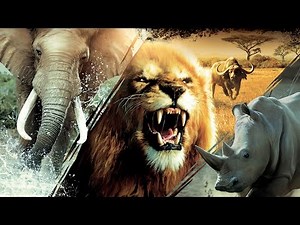 ► Cabela's African Adventures - The Movie | All Cutscenes (Full Walkthrough HD)