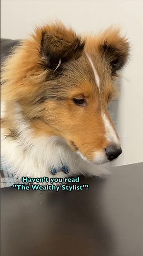 My dog is an Investment Guru??? e582-5