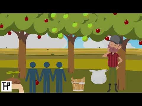 Economics - The Law of Diminishing Returns - The Home Professor