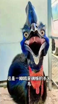 科普聲音。。#科普 #科普知识 #科普一下 #科普频道 #漲知識 #故事分享 #大千世界