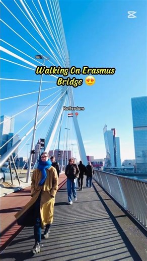 City Views from Rotterdam's Famous Bridge🇳🇱😍 #RotterdamTourism #ErasmusBridge