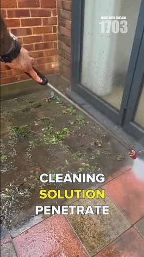 Rescuing Stone Patios: The Moss Removal Technique Pros Use