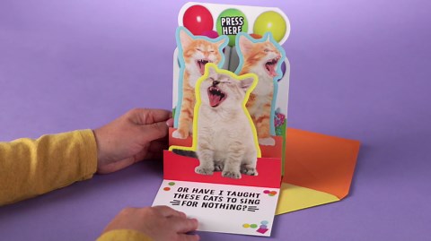 Hallmark Funny Musical Pop-Up Birthday Card (Singing Cats)