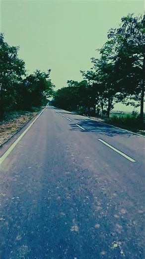 Zara dekh Mera deewanapan #shorts #shortfeed #hindisong #bolleywoodsong