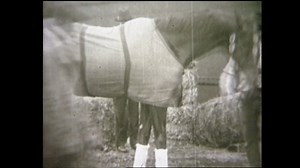 100 years ago the great Man o' War was born. Digging deep into the vault to honor this great racehorse with rare footage from the 1920 match race between him and Sir Barton at Kenilworth Race Track. | NYRA