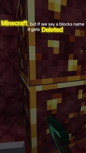 Minecraft Block Deletion Challenge - Part 3