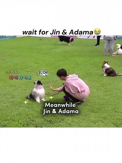 Run bts ep 23 || Jin and adama's duo was hilarious || #jinbts #jin