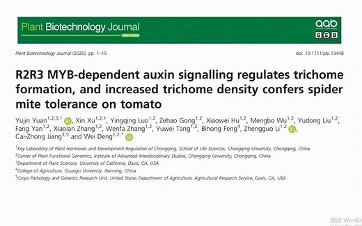 七分钟讲解Plant Biotechnology Journal高分文章 MYB转录因子调控生长素信号促进腺毛的发育而提高番茄对红蜘蛛的耐受