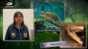 No todos los grandes animales del Mesozoico eran dinosaurios, ¿cómo distinguirlos? ¿Qué sabemos de ellos? 🦖🦕 #AnfitrionesUniversum | Universum, Museo de las Ciencias