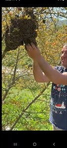 Video nga Bletari Lleshi BLETARIA KOSOVARE | Beekeeping Kosova