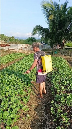 How to use the Knapsack Sprayer Backpack Electric Spray Gardening Pest Control I Akie The Carpenter
