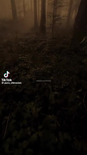 Videos de Noel Sebastian Yepez (@noel.sebastian.ye) con “sonido original - Noel Sebastian Yepez”
