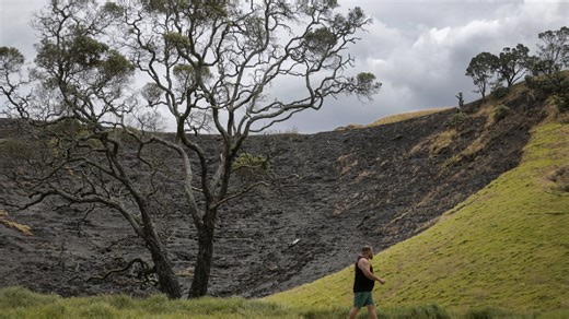 Fire on Māngere Mountain: Crews heading back to scene as extent of damage revealed