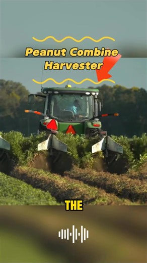 Peanut combine harvester #foryou #mechanical #knowledge | mechmaster6