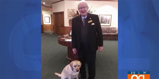 Solace, smiles on four paws: how therapy dogs provide healing comfort at funerals, nursing homes