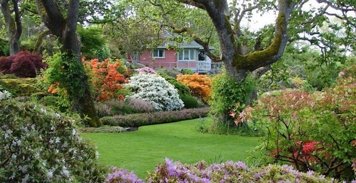 Victoria garden recognized among top "hidden gems" in Canada | Lifestyle
