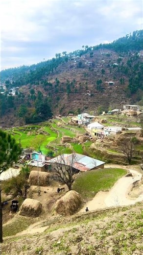 Beautiful view from Manshra #youtubeshorts #nature #neelum #mountains #narankagan